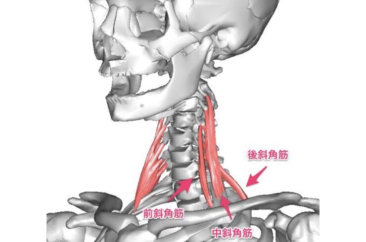 F20634D6-85DC-4139-96E2-1B062EF94984