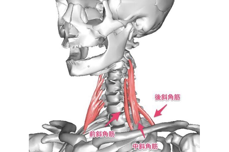 F20634D6-85DC-4139-96E2-1B062EF94984